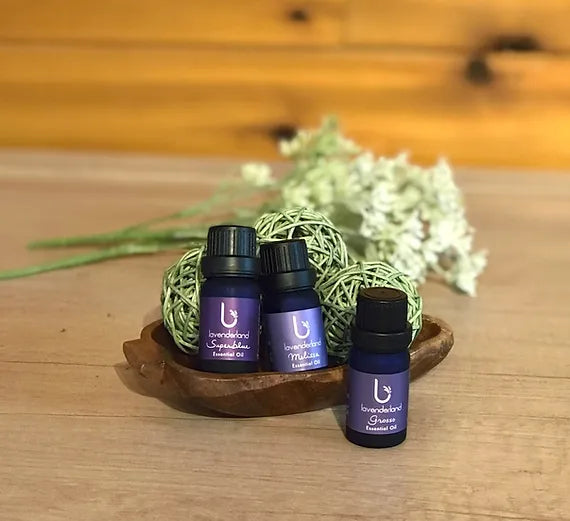 Lavender Essential Oil