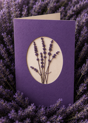 Gift Card (Purple)