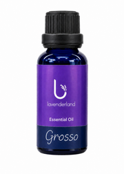 Lavender Essential Oil 30 ml