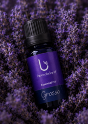 Lavender Essential Oil 30 ml