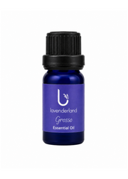 Lavender Essential Oil 5ml