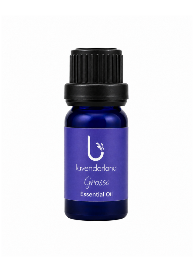 Lavender Essential Oil 5ml