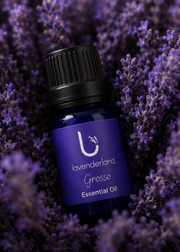 Lavender Essential Oil 5ml