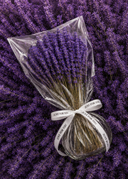 Dried Bouquet (Large)