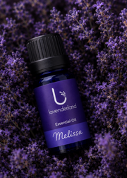 Lavender Essential Oil 30 ml