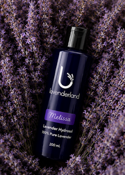 Lavender Hydrosol 200 ml