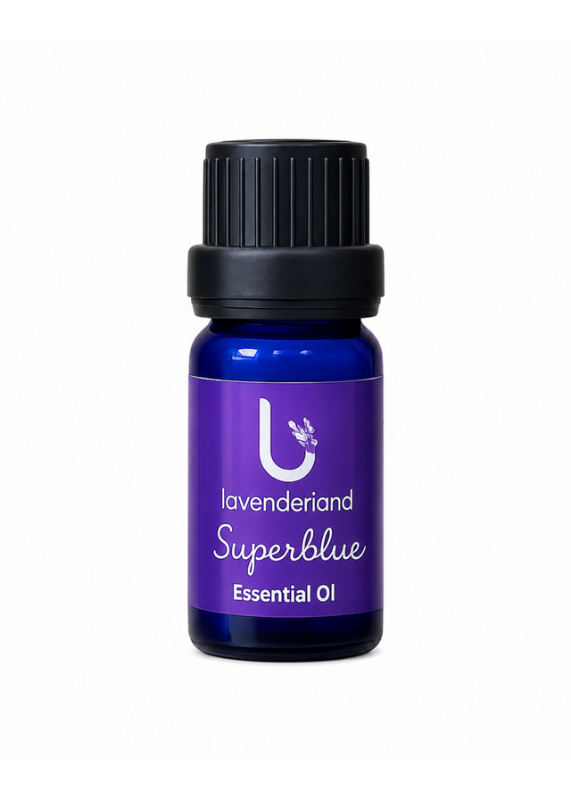 Lavender Essential Oil 5ml