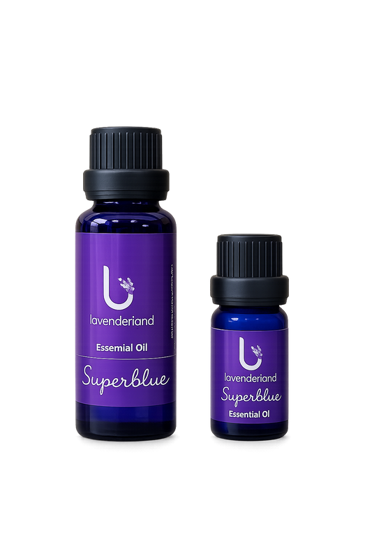 Lavender Essential Oil 30 ml