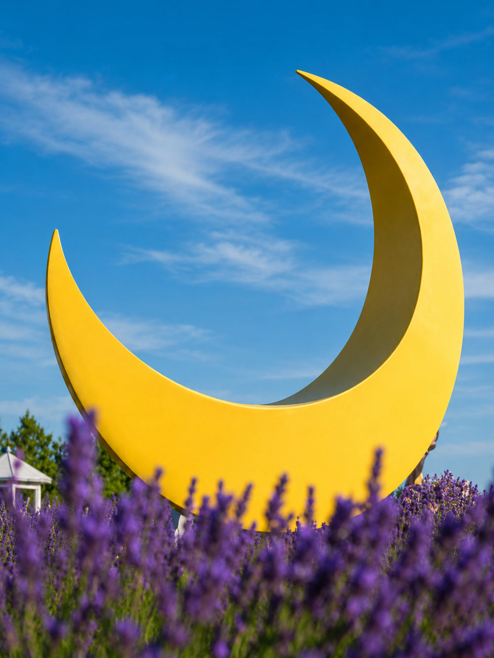 Moon installation over the lavender field at dusk